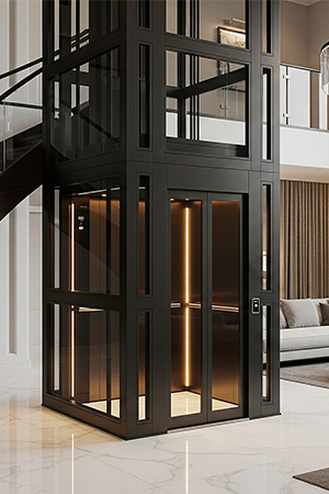 Brio Home Elevators